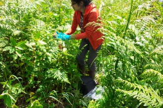 Woman wearing blue gloves stood amongst vegetation