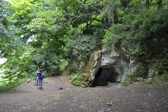 Cave in woodland