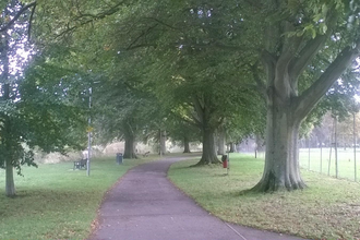 Grey surfaced path running between large trees with mown grass below