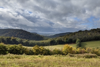 View across grassland to wooded hills beyond under a cloudy sky