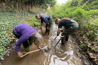 Three people digging with spades in stream