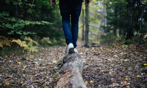 view of a person walking away along a log in a woodland
