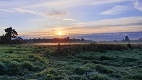 Bartonsham Meadows