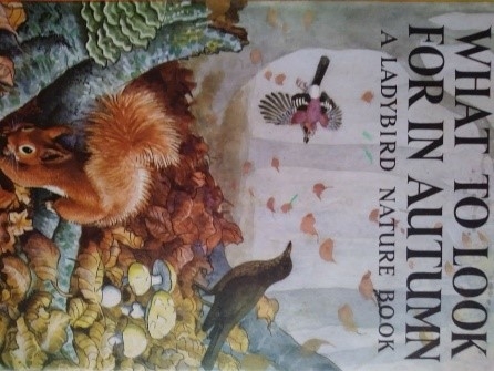 Cover of a ladybird children's book