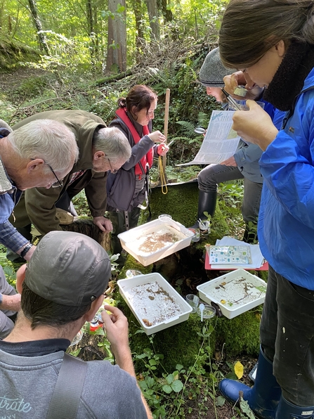 Group of people stood around three white trays examining contents, within a woodland