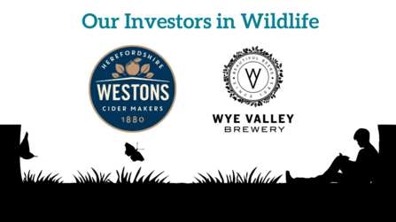 Westons and Wye Valley Brewery Logos 
