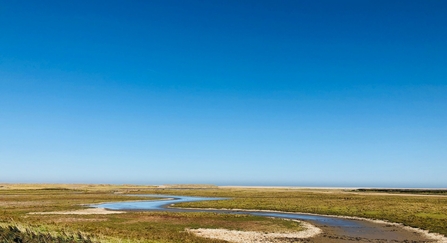 View across coastal marsh