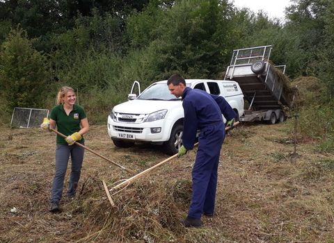 Man and woman raking straw in a field with a white vehicle in the background