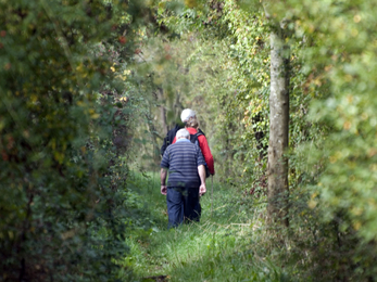 Wild walking 