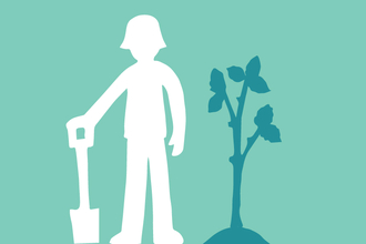 tree planting illustration