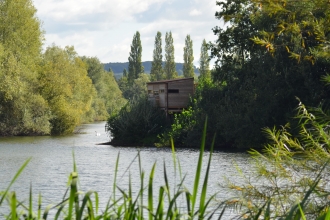 Brandon Marsh Nature Reserve Coventry Warwickshire Stock Photos