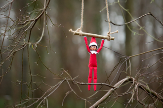 Toy elf hanging from a twig in a woodland