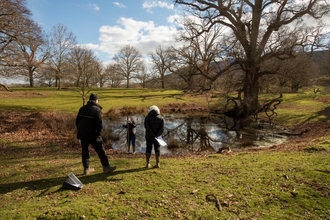 People standing near pond in grassland area dotted with large trees