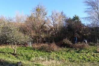 Field with small trees and the roof of a house just visable behind