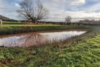 View of large pond with grassland surrounding