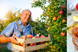 Man with box of apples as well as images of apple chutney and apple pie