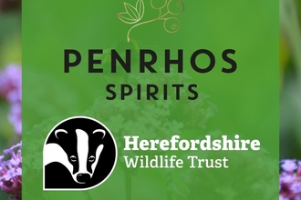 penrhos and HWT logos on floral background