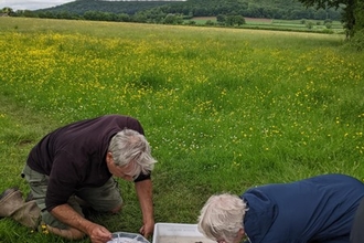 Two people kneeling over a white tray and bucket in a meadow