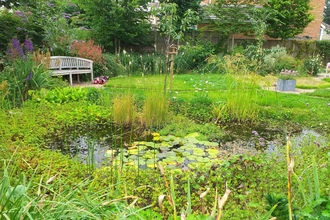 Pond at Garbetts Orchard