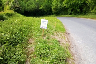 Road with do not cut sign in the verge