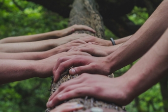 Hands on a tree trunk 