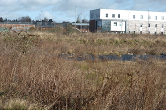 Area of winter vegetation with pool of water in the centre and a white, square building beyond