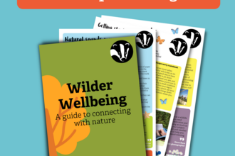 wilder wellbeing