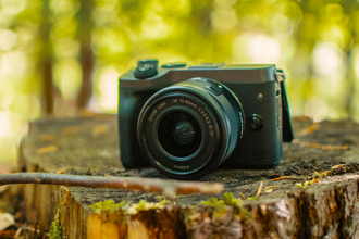 A camera sat on a tree stump in the woods