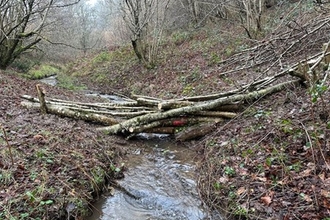 Branches neatly laid across a small stream in a woodland in winter