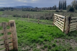 An open, wooden gate in a grassy meadow