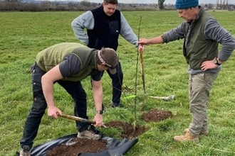 Three people planting a tree sapling in grassy field