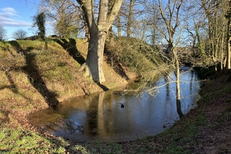 A pond, in winter, with trees around the edge