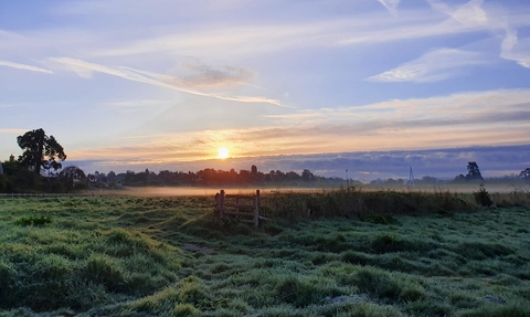 Sun rising over a meadow; blue sky streaked with cloud