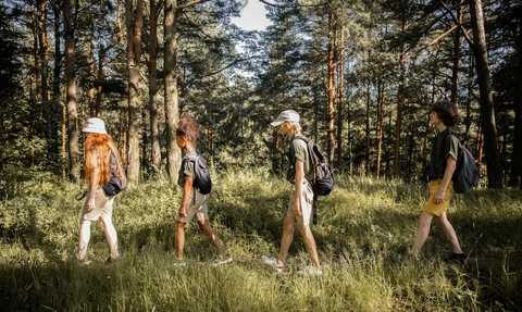 Four young people walking through a woodland