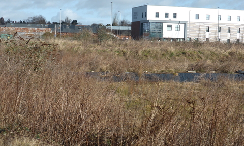 Area of winter vegetation with pool of water in the centre and a white, square building beyond