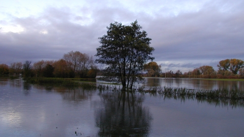 Flooded field