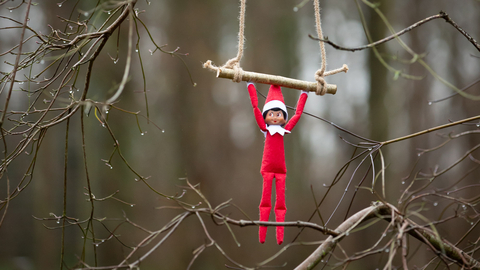 Toy elf hanging from a twig in a woodland