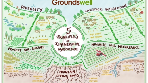 Image showing the Groundswell 5 Principles of Regenerative Agriculture