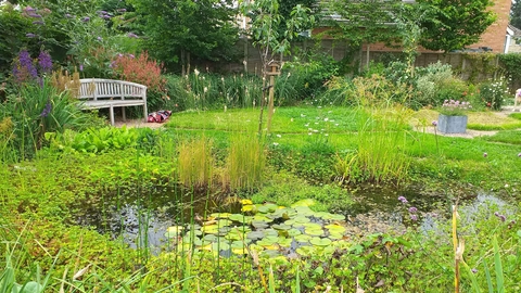 Pond at Garbetts Orchard