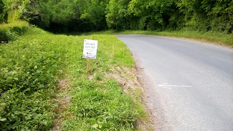 Road with do not cut sign in the verge