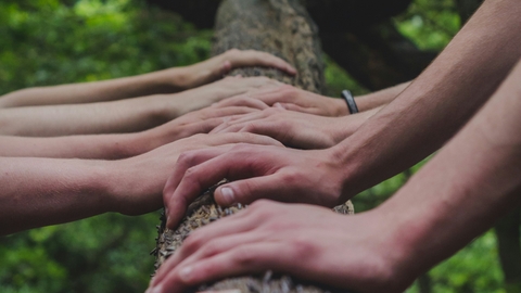 Hands on a tree trunk 