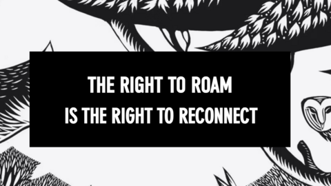 right to roam banner 