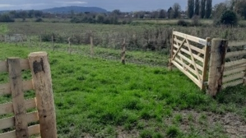 An open, wooden gate in a grassy meadow