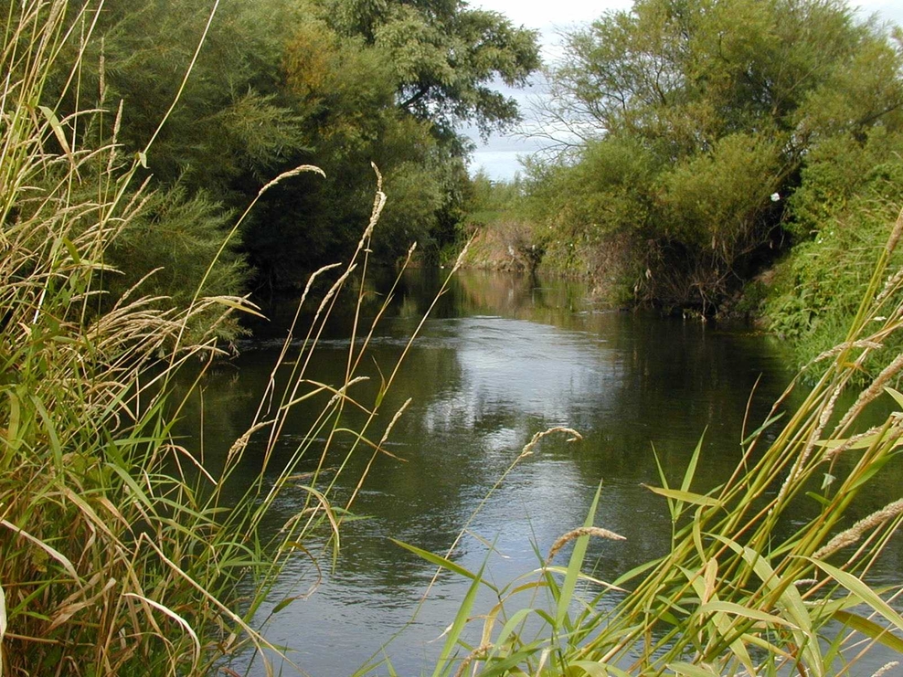 Lugg Meadow | Herefordshire Wildlife Trust