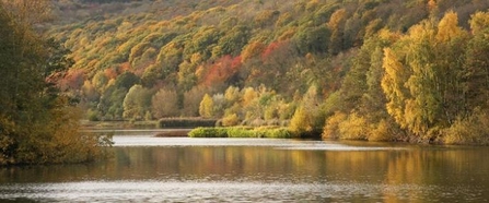 Bodenham Lake