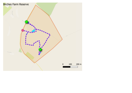 Simple map with marked route