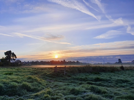 Sun rising over a meadow; blue sky streaked with cloud