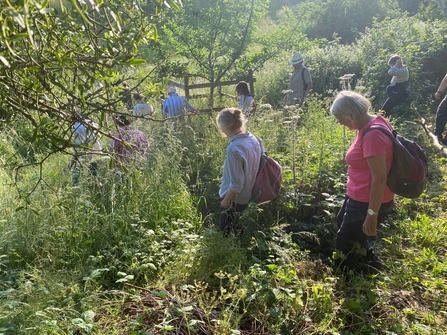 People walking through long grass around over hanging branches in the sunshine