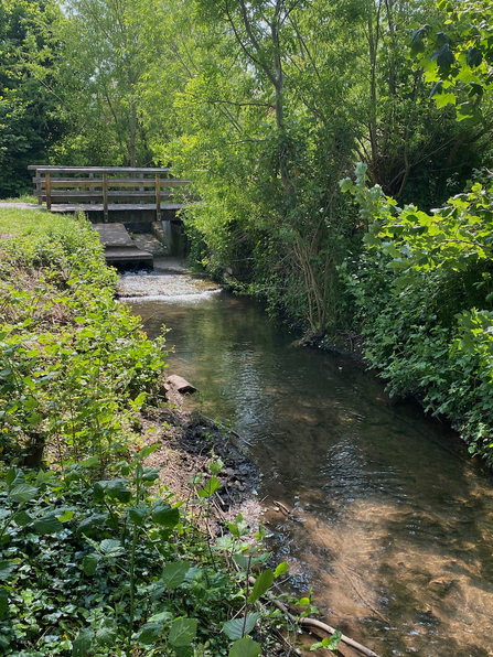 View of a steam with wooden bridge across and verdant banks