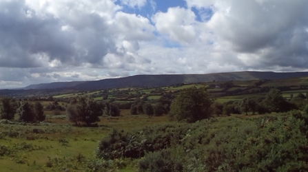 Vagar Hill in the Golden Valley